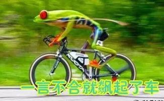 娱乐吃瓜酱自行车,自行车界的潮流新宠