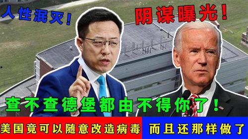 冠状病毒爆料视频,深度解析爆料视频背后的真相 第2张 冠状病毒爆料视频,深度解析爆料视频背后的真相 第2张